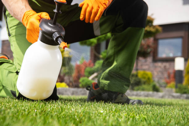 Best Affordable Pest Control Services  in Hudson, IA