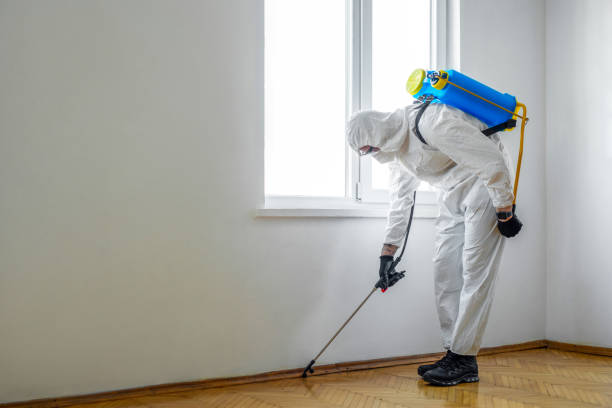 Reliable Hudson, IA Pest Control Solutions